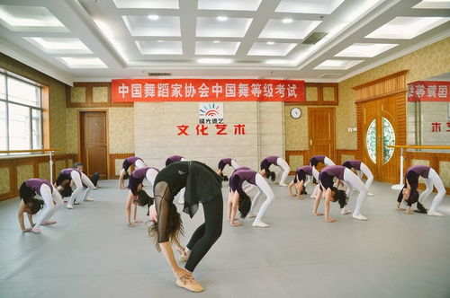 曙光德艺舞蹈艺术中心成功举办两周年公演